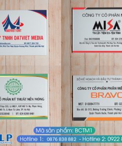 bien cong ty mica bctm1