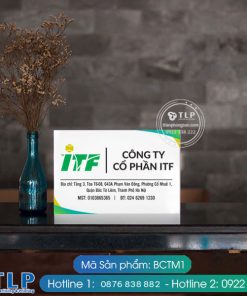 bien cong ty mica bctm1